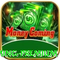 012pg Gaming Premium